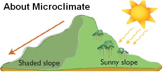 microclimate