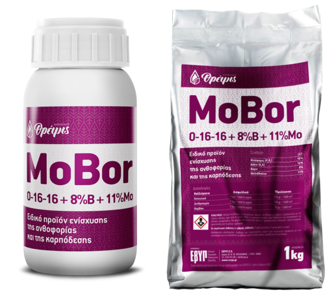 mobor merged e1605857856371