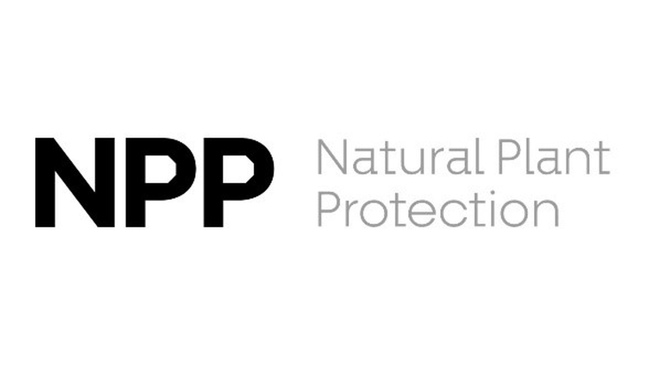 natural Easy Resize.com 