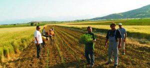 Παράταση μέχρι 20 Ιουλίου για κατάθεση αιτήματος πληρωμής των Σχεδίων Βελτίωσης