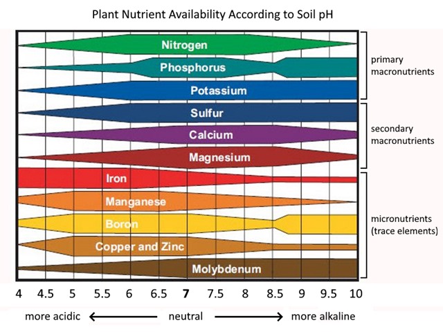 nutrientavailabilitysoilphchartdetailed