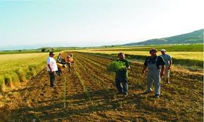 Δέκα μέλη ελάχιστο όριο για Ομάδα Παραγωγών προωθεί το υπουργείο