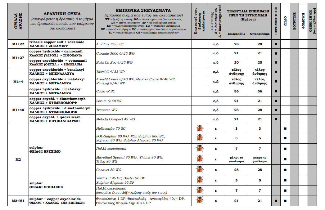 page5