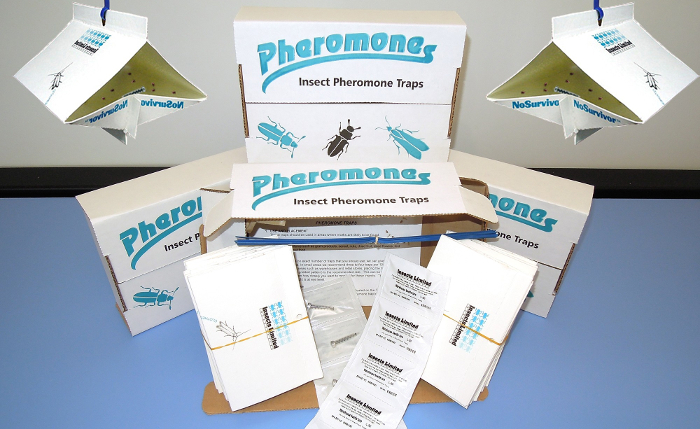 pheromone4