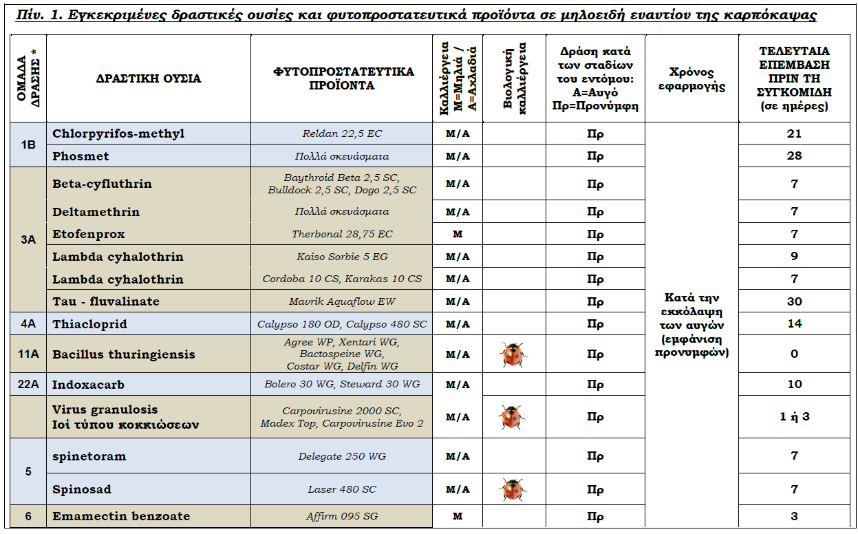 pinakas1