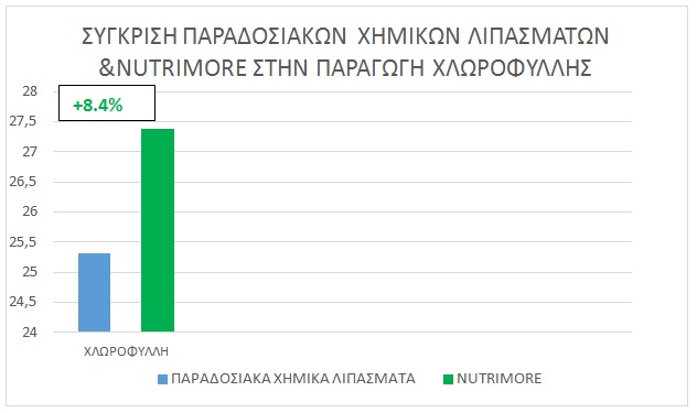 pinakas2