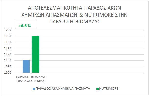 pinakas3