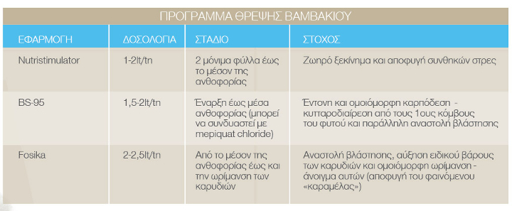 pinakas VAMVAKI