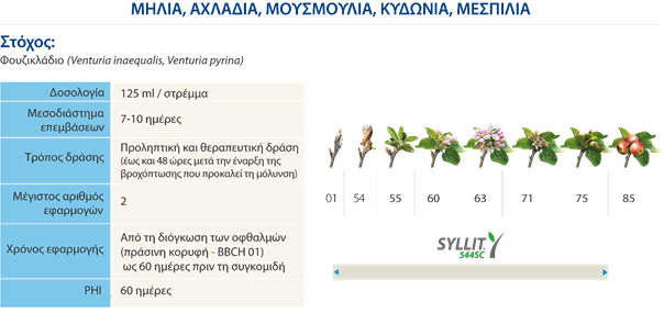 pinakas syllit mhlo1