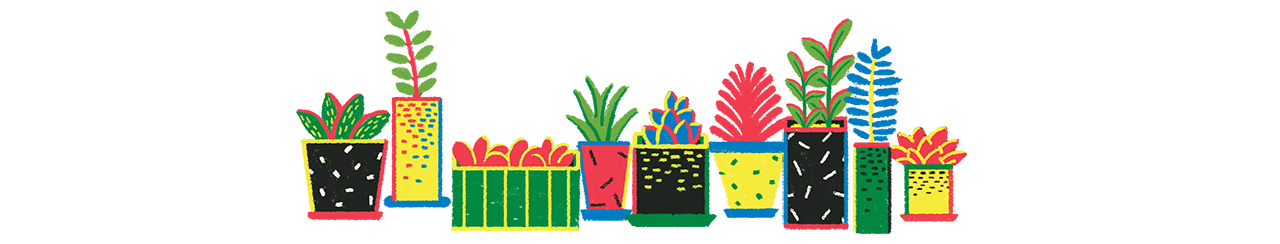 plantcom1