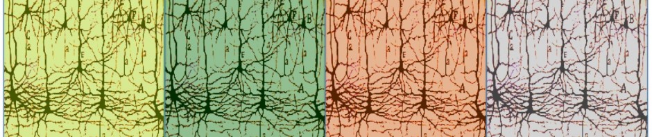 plantcommunicatio3
