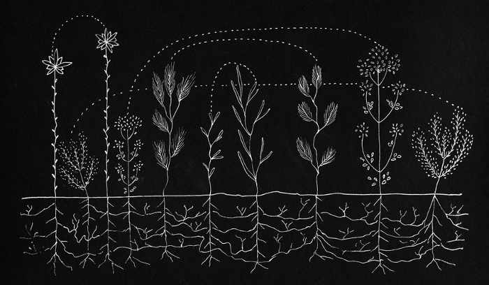 plantcommunication