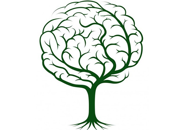 plantcommunication2