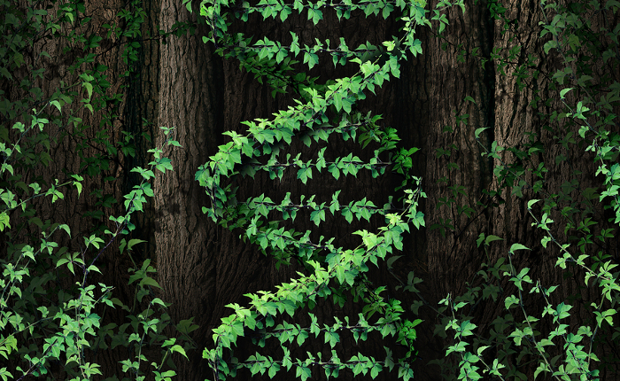 plantint COVER