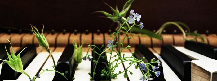 plants and sound