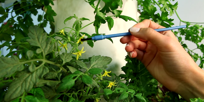 pollinatio byhand