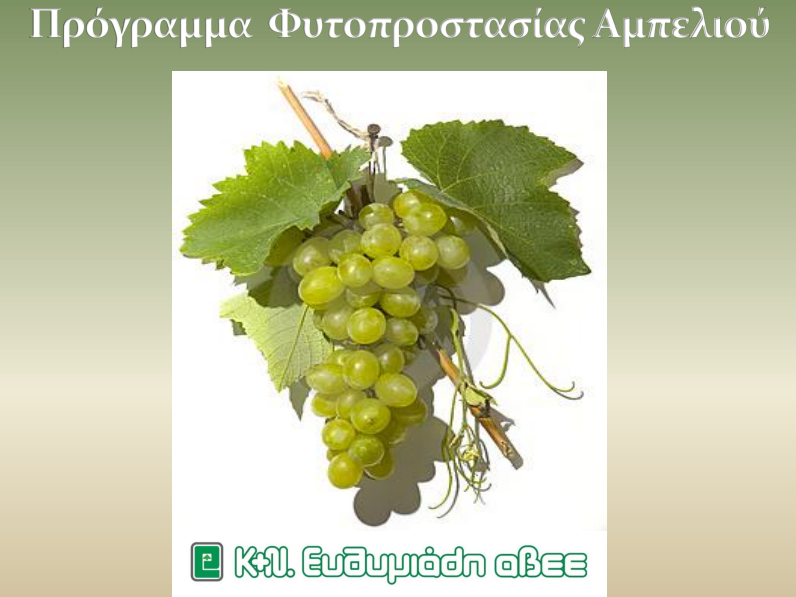 programma fytoprostasias ampeliou