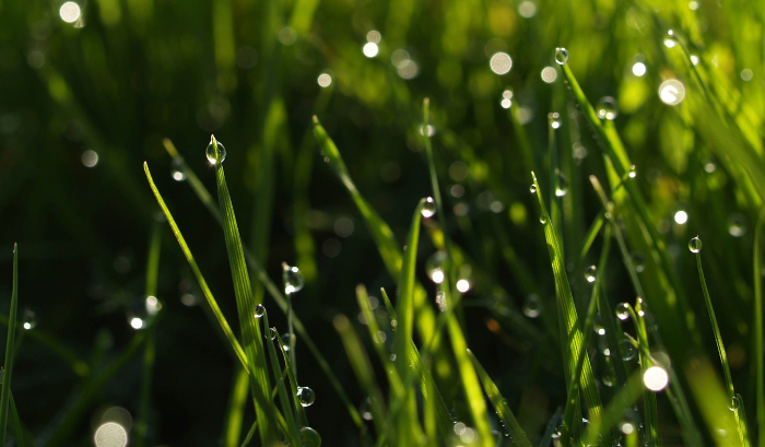 rain9