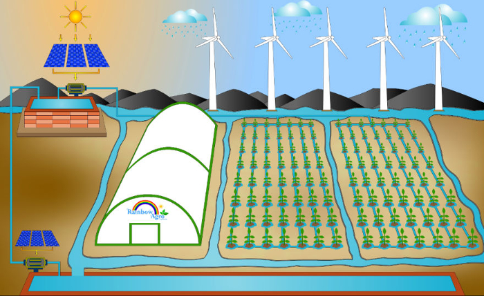 rainharvesting