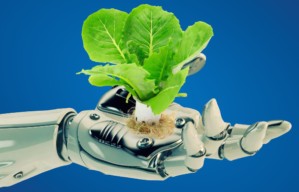 robot