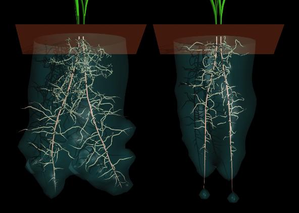 root9