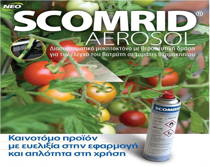 scomrid