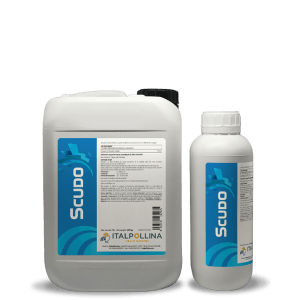 scudo 1L 5L 01 