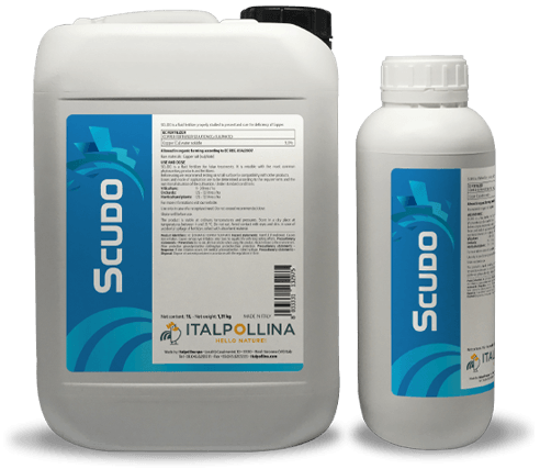 scudo 1L 5L 01