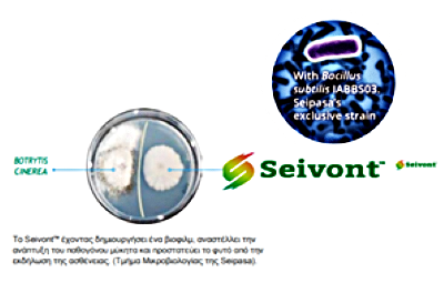 seivont