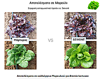 seivont ereuna