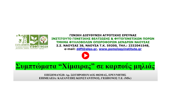 simptomata ximairas mila yt