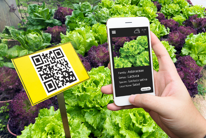 smartfarming