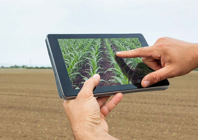 smartfarming 2
