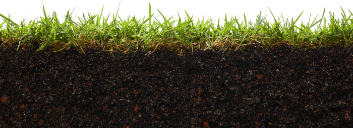 soil12