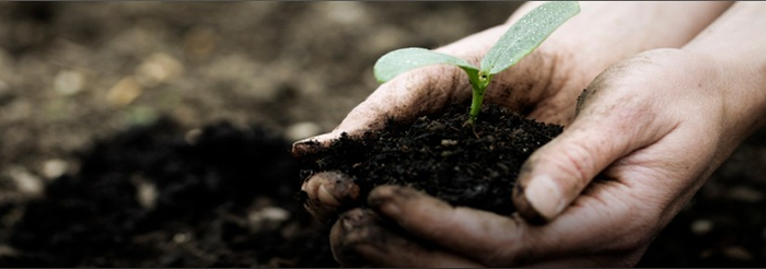 soilanalysis3