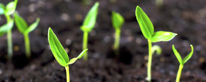 soilhealth