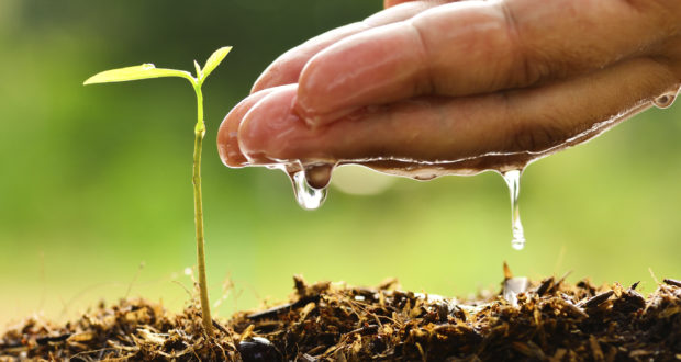 soilmoisture