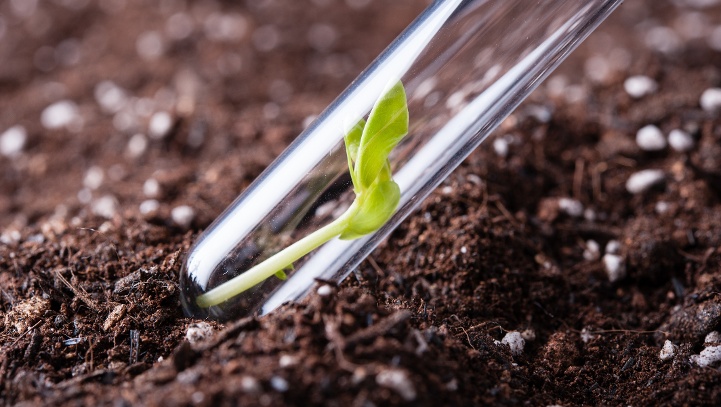 soiltesting