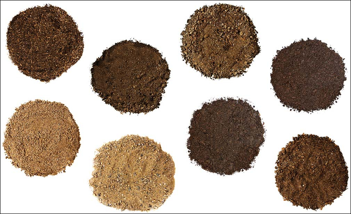 soiltype2