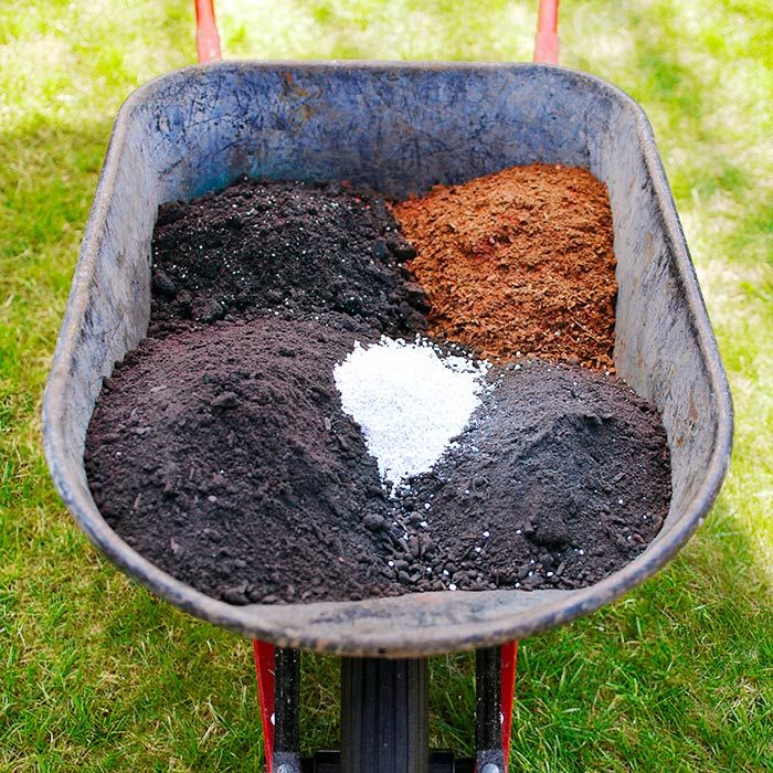 soiltype5
