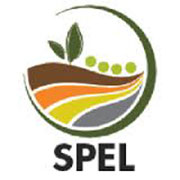 spel