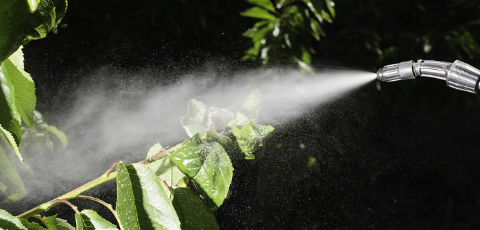 spray1