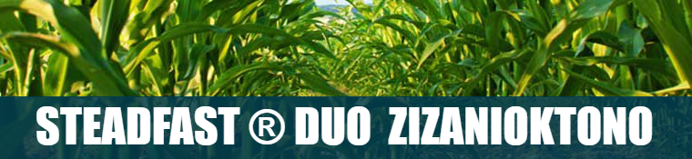 steadfast duo