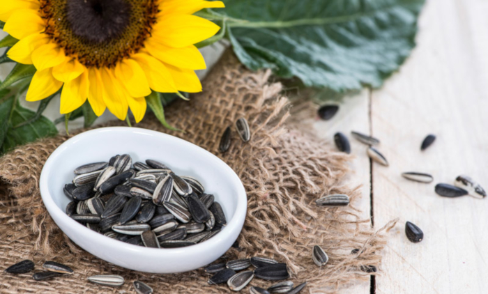 sunflower seeds dt