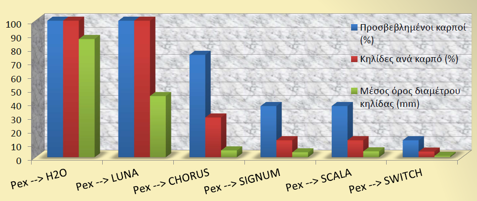 sxhma1