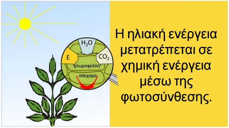 symvolh kaliou 1