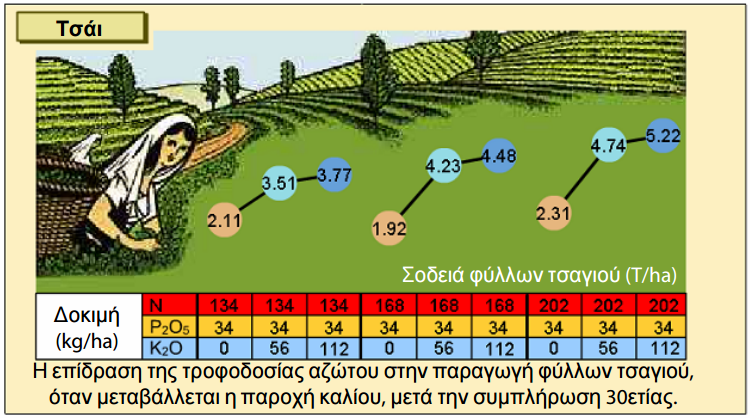 symvolh kaliou 10
