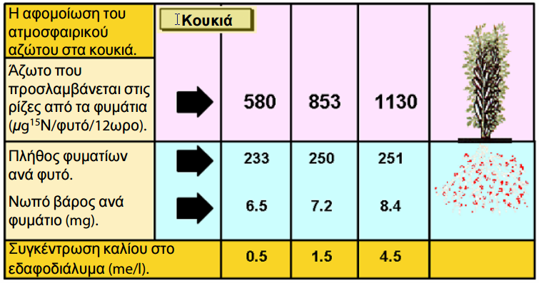 symvolh kaliou 11