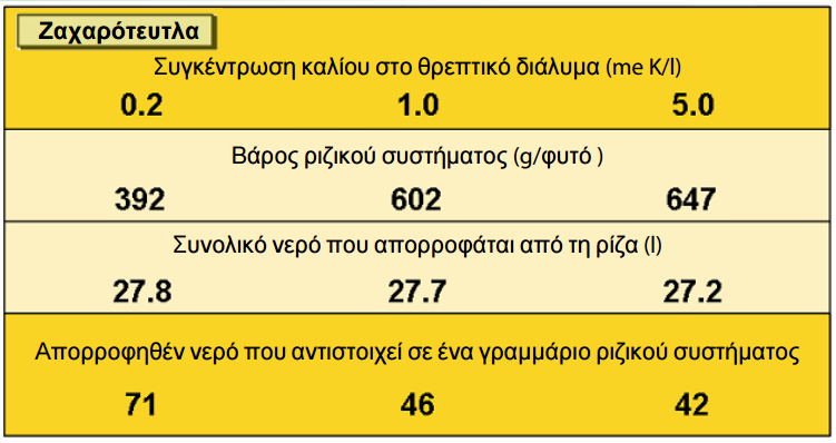 symvolh kaliou 13