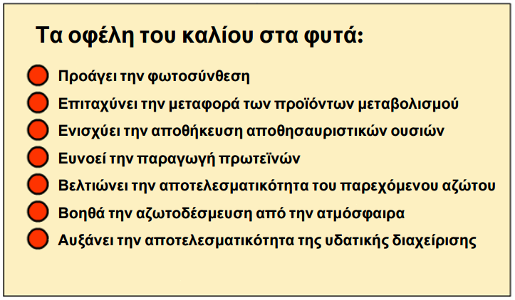 symvolh kaliou 15